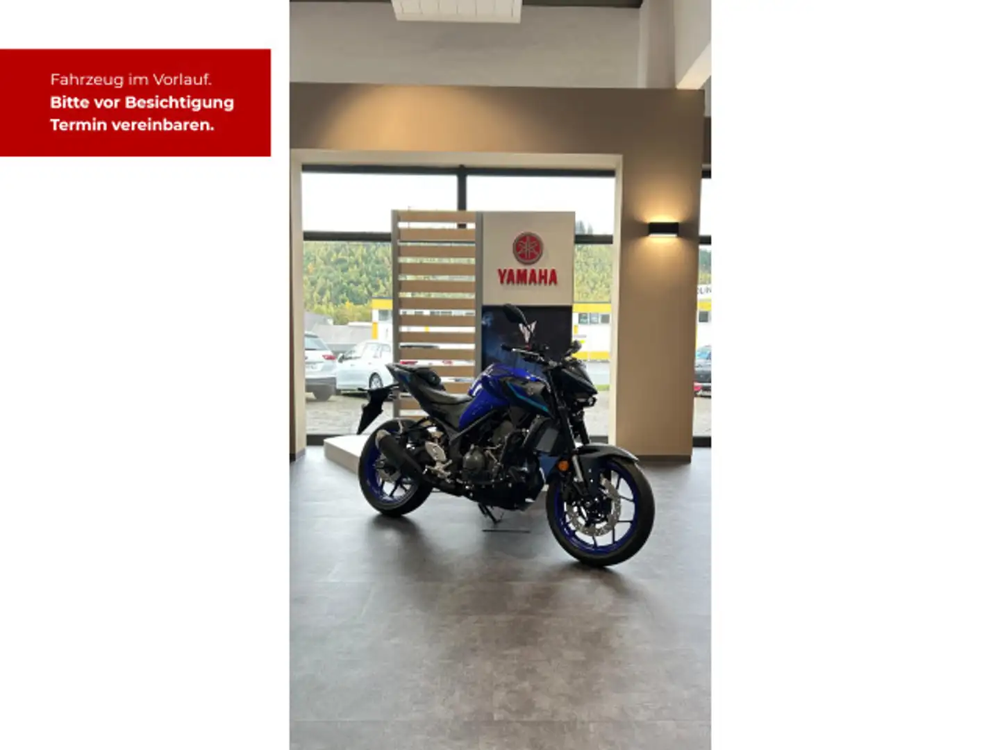 Yamaha MT-03 . Albastru - 2