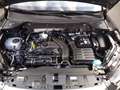 SEAT Ateca Xperience 1.5 TSI Xperience *AHK*BEATS*PANO* Grau - thumbnail 9