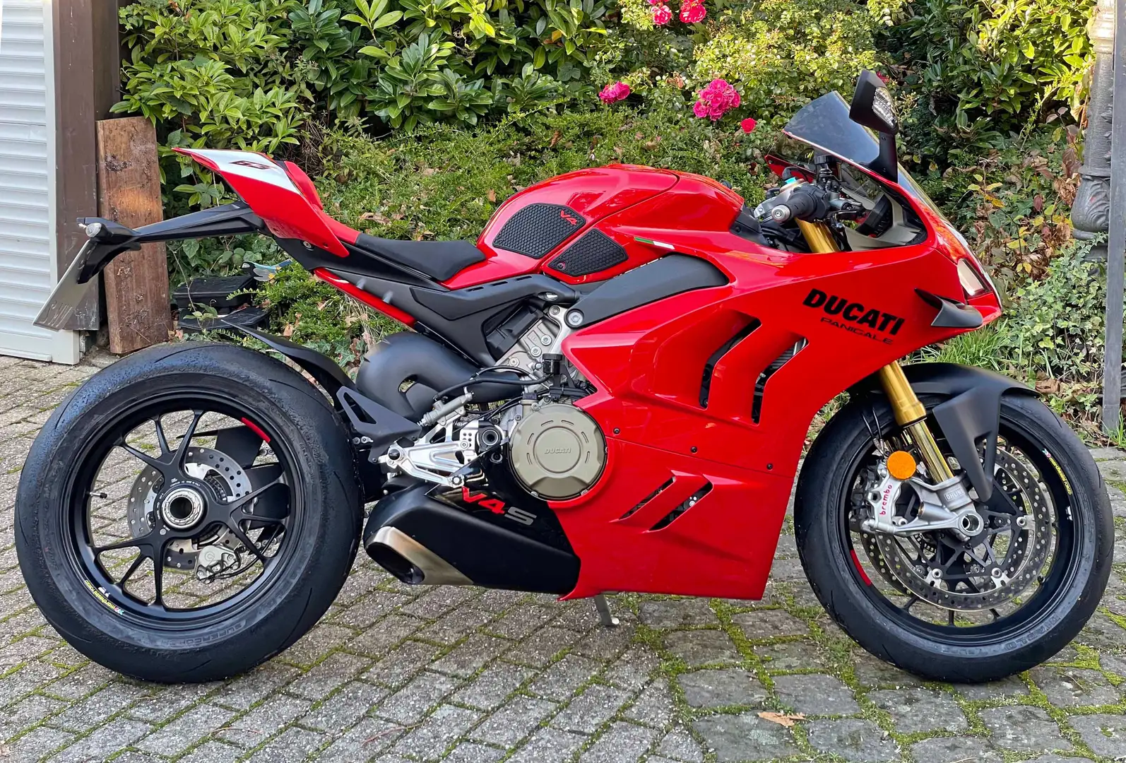 Ducati Panigale V4 S - aus gesundheitl. Gründen abzugeben - Czerwony - 1