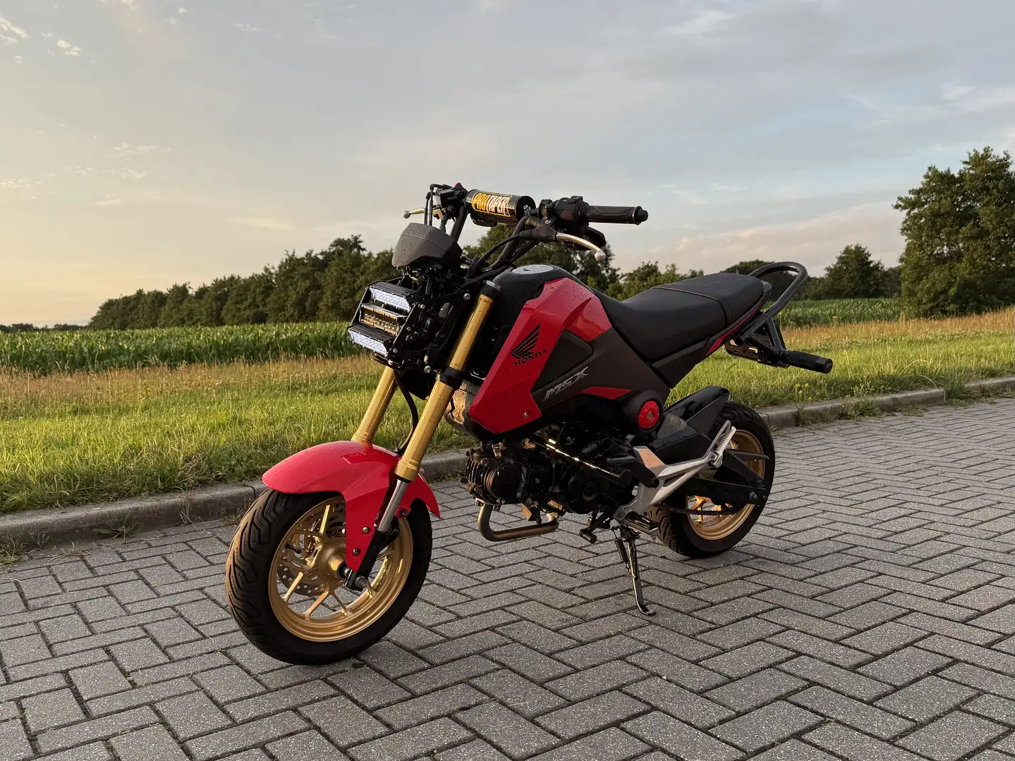 Honda MSX 125 Rouge - 1