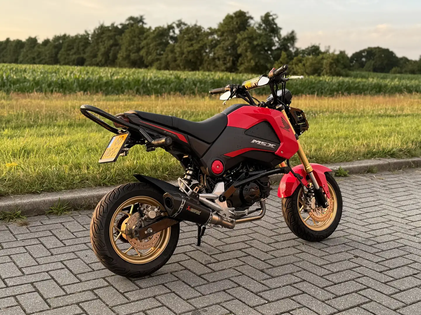 Honda MSX 125 Rouge - 2