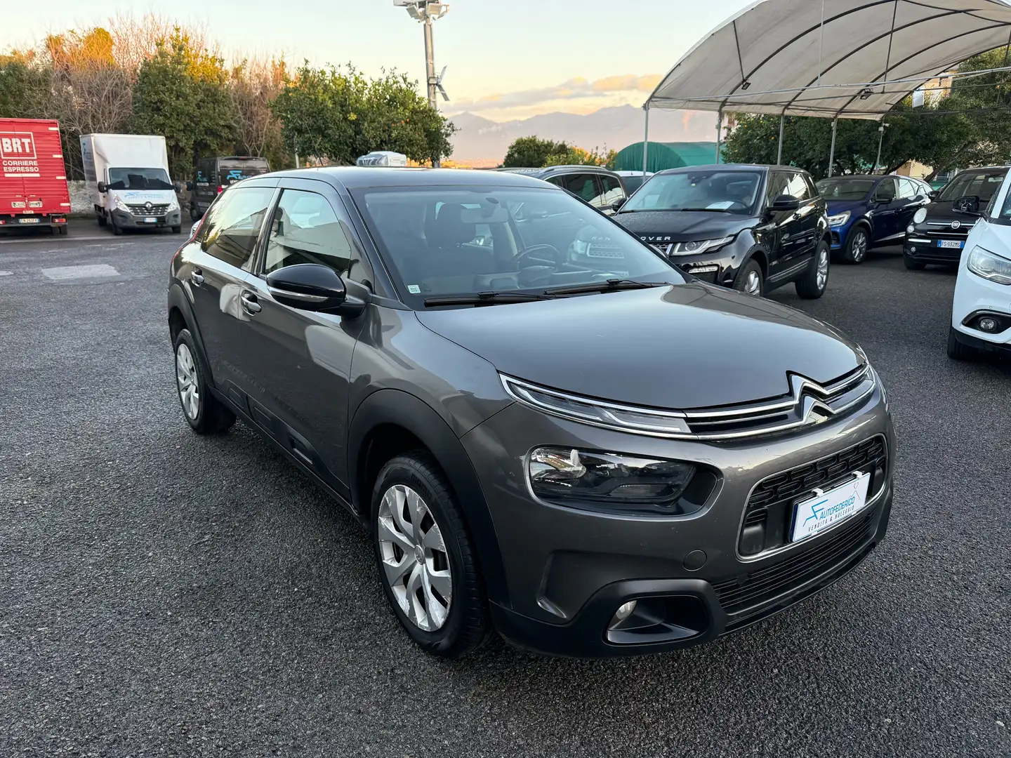 Citroen C4 Cactus 1.5 bluehdi Feel Grigio - 2