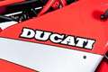 Ducati 750 Sport DUCATI 750 SPORT Roşu - thumbnail 11