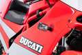 Ducati 750 Sport DUCATI 750 SPORT Rojo - thumbnail 13