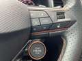 CUPRA Ateca VZ 2.0 TSI 4 Drive DSG AHK Beats Sitzhzg Schwarz - thumbnail 15