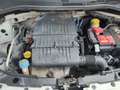Fiat 500 1.2 S 69cv Neopatentati Blanc - thumbnail 14