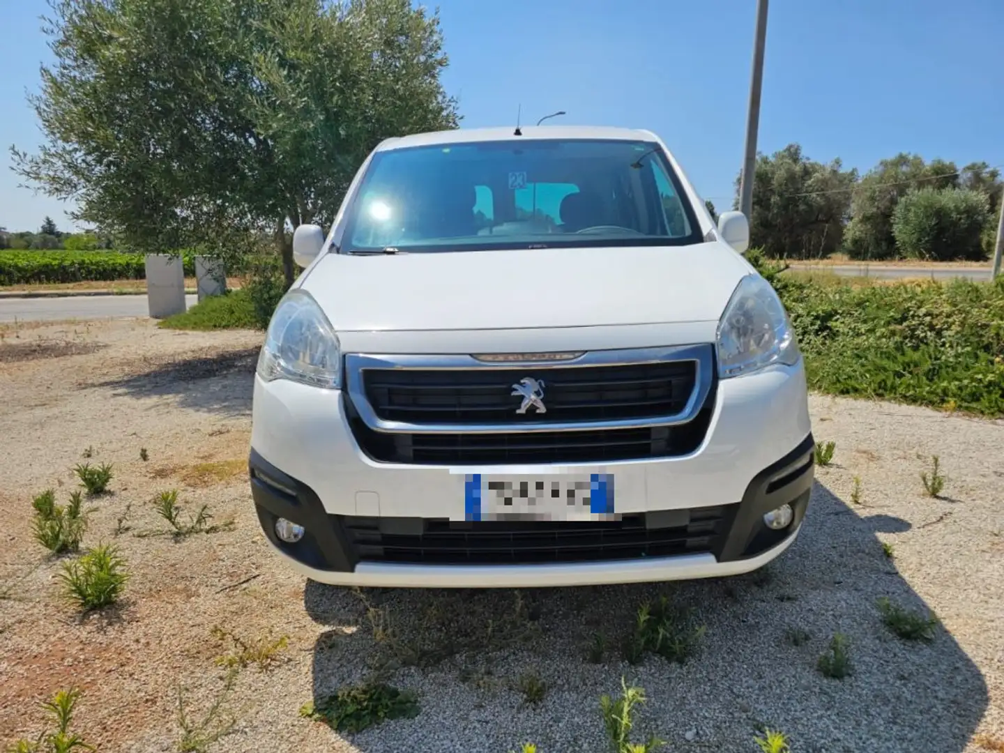 Peugeot Partner Tepee 1.6 BlueHDi 100 CV 4x4 Active Traction Wit - 2