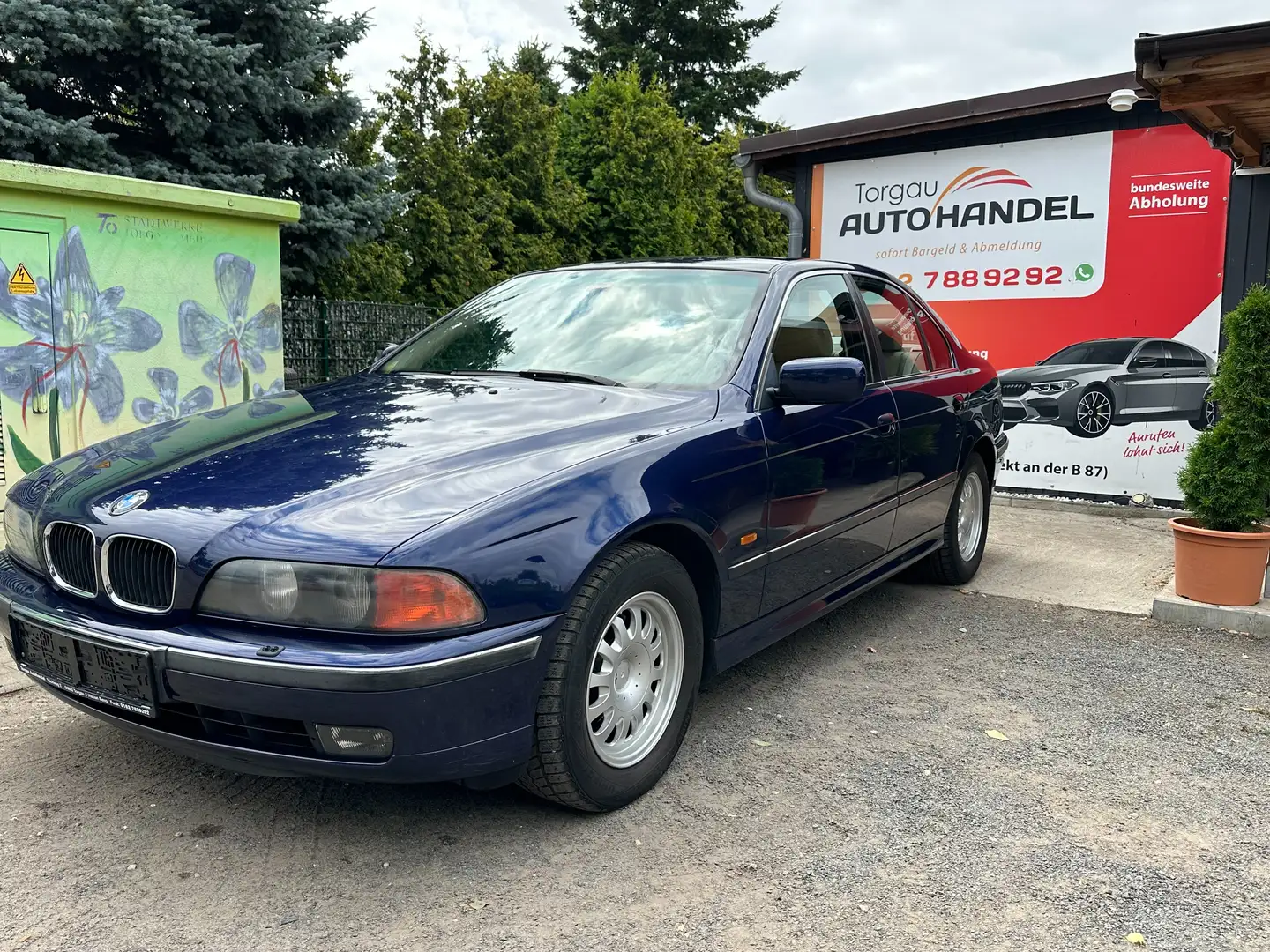 BMW 523 i TÜV-09-26/Klima./Vollleder/8 x Bereift./SHZ. Blau - 1