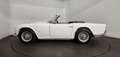 Triumph TR4 overdrive Blanc - thumbnail 9