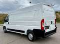 Citroen Jumper BlueHDi 103KW (140CV) Furgón 35L3H2 Blanco - thumbnail 2