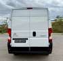 Citroen Jumper BlueHDi 103KW (140CV) Furgón 35L3H2 Blanco - thumbnail 3