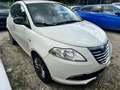 Lancia Ypsilon 1.2 8v Gold ecochic Gpl 69cv Blanc - thumbnail 1