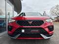 CUPRA Ateca Cupra Ateca 2.0 TSI DSG AHK LED ACC Beats Mirror Rot - thumbnail 22