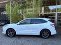 Ford Kuga 2.5 PHEV ST-Line | Camera`s | Stuur/stoelverwarmin Blanc - thumbnail 3