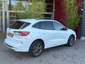 Ford Kuga 2.5 PHEV ST-Line | Camera`s | Stuur/stoelverwarmin Blanc - thumbnail 2