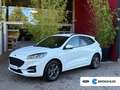 Ford Kuga 2.5 PHEV ST-Line | Camera`s | Stuur/stoelverwarmin Blanc - thumbnail 1