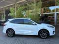 Ford Kuga 2.5 PHEV ST-Line | Camera`s | Stuur/stoelverwarmin Blanc - thumbnail 15