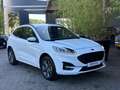 Ford Kuga 2.5 PHEV ST-Line | Camera`s | Stuur/stoelverwarmin Blanc - thumbnail 14
