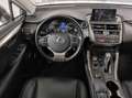 Lexus NX 300 NX 300h 2.5 HYBRID 4wd cvt Blanc - thumbnail 13