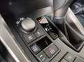 Lexus NX 300 NX 300h 2.5 HYBRID 4wd cvt Beyaz - thumbnail 22