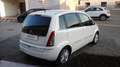 Lancia MUSA Musa 1.4 8v 5th  Gpl -Neopat.-Distrib.-Km.Certific White - thumbnail 6