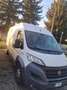 Fiat Ducato 2.0 td autocarro furgone euro6 Bianco - thumbnail 15