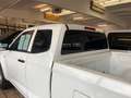 Isuzu D-Max Space Cab 4WD AHK + Beschicht. o. Wanne Weiß - thumbnail 3