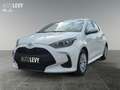 Toyota Yaris 1.5 Business Ed. SHZ*Navi*großes Display Blanc - thumbnail 2