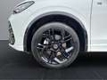 Volkswagen Tiguan 2.0 TDI DSG 4Mo R-Line+AHK+MATRIX+BLACKSTYLE+NAVI Weiß - thumbnail 23