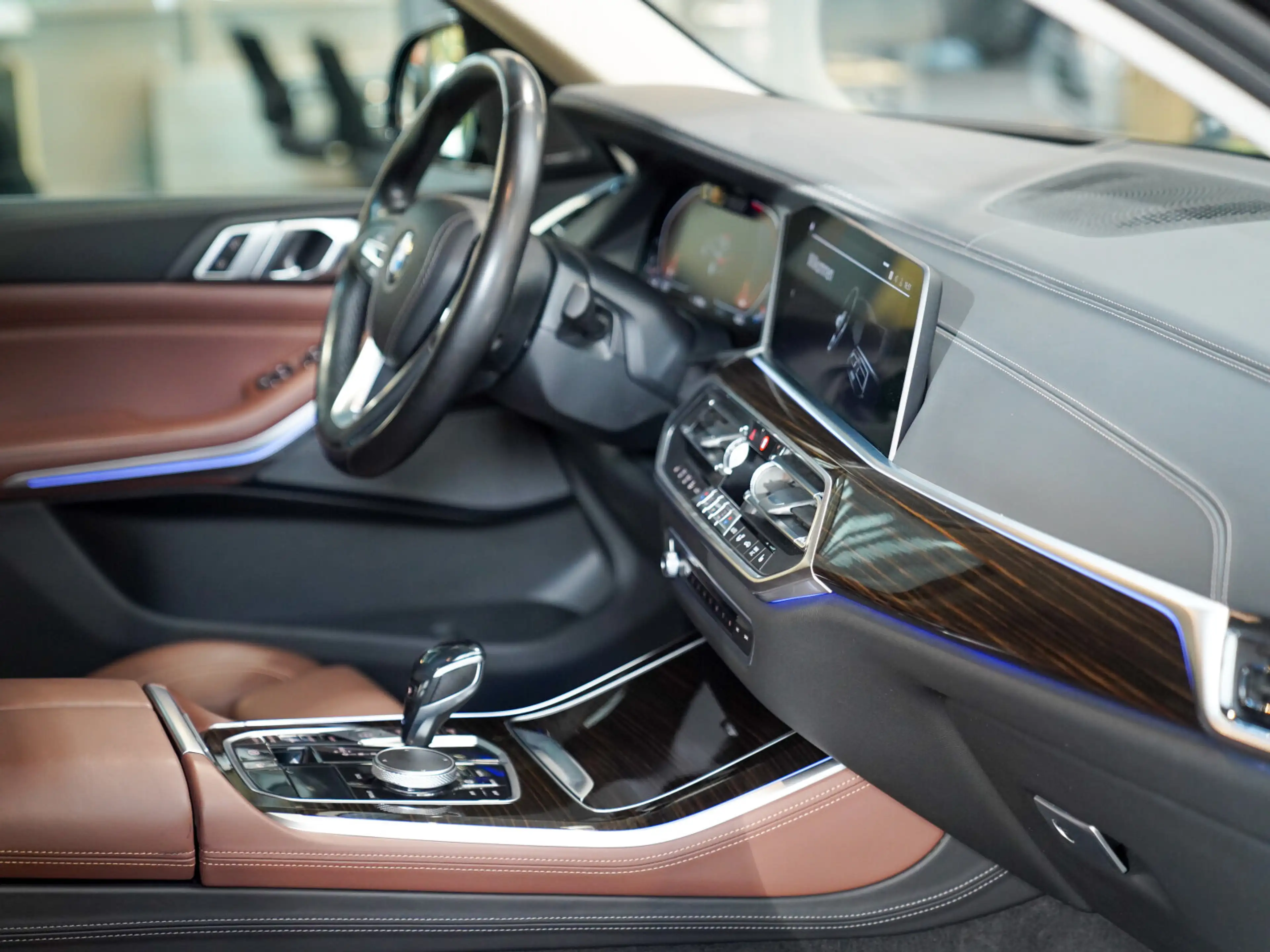 BMW X5 X5 xDrive40i xLine Leder coffee Harman Standheiz — photo 12