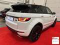 Land Rover Range Rover Evoque Evoque 2.0 td4 HSE Dynamic 150cv 5p auto Blanco - thumbnail 4