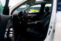 Mercedes-Benz GLC 220 d Exclusive 4Matic *Panorama, designo-Lack & Park Weiß - thumbnail 12