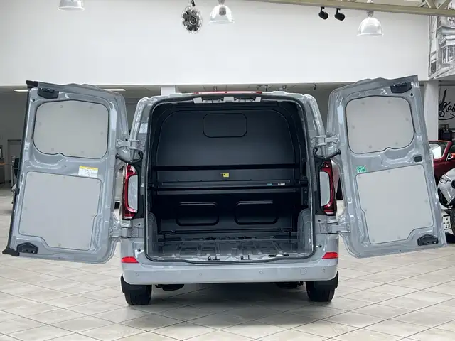 Volkswagen Transporter view 6