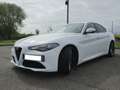 Alfa Romeo Giulia 2.2 t Super 180cv Blanc - thumbnail 2