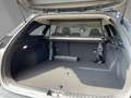 Kia Ceed SW / cee'd SW Sportswagon Ultimate Edition 1.5 T-GDI MHEV Style Schwarz - thumbnail 12