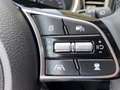 Kia Ceed SW / cee'd SW Sportswagon Ultimate Edition 1.5 T-GDI MHEV Style Schwarz - thumbnail 20