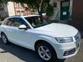 Audi Q5 Q5 35 TDI quattro S tronicsport Weiß - thumbnail 4