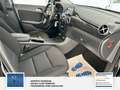 Mercedes-Benz B 180 B 180 Nur 38500km, AHK, PDC, Navi Noir - thumbnail 13
