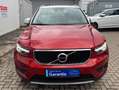 Volvo XC40 Momentum 1HD PANO CAM NAVI APPLE XENIUM Rouge - thumbnail 10