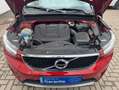 Volvo XC40 Momentum 1HD PANO CAM NAVI APPLE XENIUM Rouge - thumbnail 19