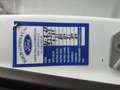 Ford Kuga 2.0 TDCI 150 CV S&S 4WD Powershift Titanium Weiß - thumbnail 21