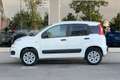 Fiat Panda FIAT PANDA 4x4 VAN 2 POSTI BENZINA Bianco - thumbnail 3