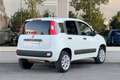 Fiat Panda FIAT PANDA 4x4 VAN 2 POSTI BENZINA Bianco - thumbnail 6