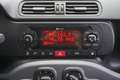 Fiat Panda FIAT PANDA 4x4 VAN 2 POSTI BENZINA Bianco - thumbnail 12