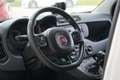 Fiat Panda FIAT PANDA 4x4 VAN 2 POSTI BENZINA Bianco - thumbnail 10