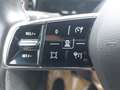 Renault Austral Mild Hybrid 160 Iconic Esprit Alpine Grau - thumbnail 17