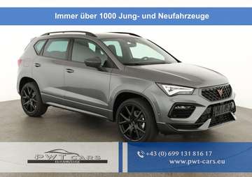 Basis 1.5 TSI DSG, AHK, Navi, Kamera, el. Klapp...