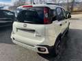 Fiat Panda Cross 1.0 FireFly S&S Hybrid Blanc - thumbnail 5