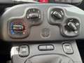 Fiat Panda Cross 1.0 FireFly S&S Hybrid Blanc - thumbnail 24