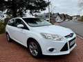 Ford Focus Turnier Sync Edition|PDC|Shzg|EU5! Blanc - thumbnail 8